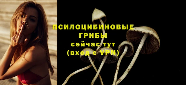 скорость Зеленокумск